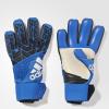 Вратарские перчатки ACE Pro AZ3691