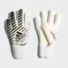 Вратарские перчатки Classic Pro