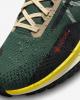 Кроссовки мужские Nike React Pegasus Trail 4 Gtx (FD0317-333)