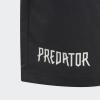 Комплект: шорты и футболка Predator