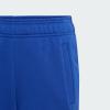 Джогери Essentials Regular Fit Big Logo Cotton Sportswear IJ6301