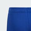 Джогери Essentials Regular Fit Big Logo Cotton Sportswear IJ6301