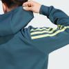 Худі Future Icons 3-Stripes Full-Zip Sportswear IJ8878