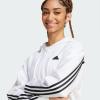 Худи Future Icons 3-Stripes Full Zip IW5254