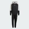 Спортивный костюм Sportswear Fleece Colorblock IY0300