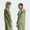 Толстовка Future Icons 3-Stripes Full-Zip JH3601